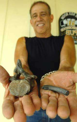 Останки Nanosiren garciae