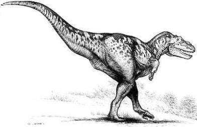 Tarbosaurus