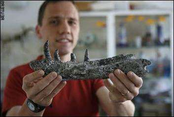 Предок T-Rex