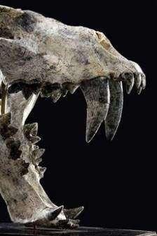 Homotherium