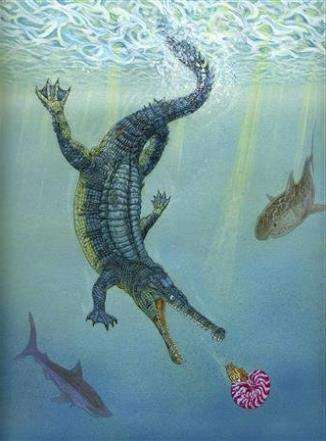 Guarinisuchus munizi