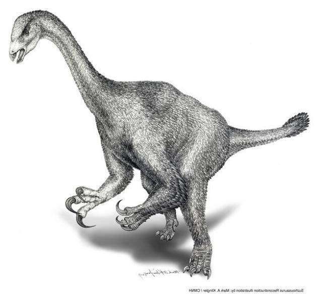 Suzhousaurus megatherioides