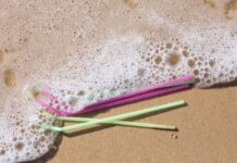 The Plastic Pollution Crisis: Beyond Biodegradable Hype