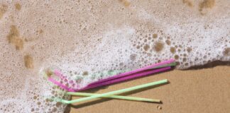 The Plastic Pollution Crisis: Beyond Biodegradable Hype