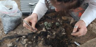 Lavish Roman Cremation Tomb Unearthed in France Reveals Clues to Deceased’s Identity