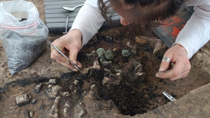 66a7b658-150b-4168-8716-7f1c5fc616e4