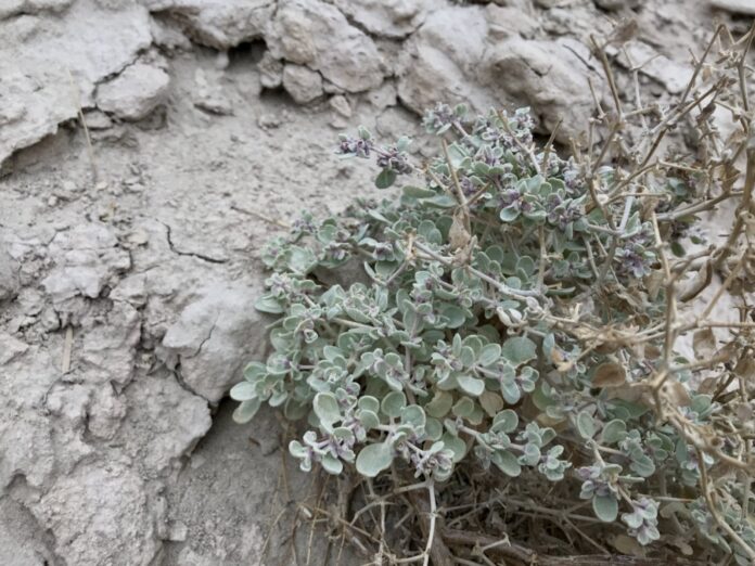 81fde175-acb7-4d11-aedf-28524d436c3a