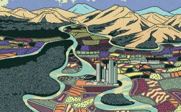 Що 350 різних теорій свідомості говорять про реальність