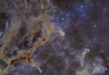 Космічний жираф: вражаюча туманність нагадує небесного звіра