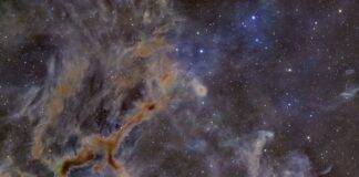 Космічний жираф: вражаюча туманність нагадує небесного звіра