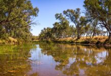 Річка Фінке: найстаріший безперервний водний шлях Землі