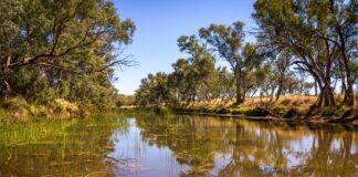 Річка Фінке: найстаріший безперервний водний шлях Землі