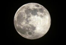 Січень 2026 Супермісяць: пояснення Місяця-вовка