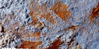 Древнейшая наскальная живопись переопределяет истоки человеческой креативности