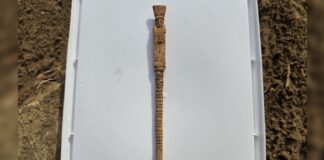 Стародавній сицилійський стилус із зображенням Діоніса з ерегованим фалосом