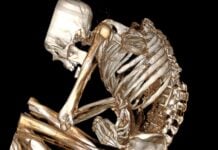 Смерть стародавнього шахтаря розкриває суворі реалії видобутку бірюзи до інків