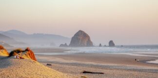 Давні мегатруси, зареєстровані підводними зсувами, розкривають сейсмічну історію Каскадії