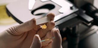 Новый костнопокрытый опухолевый узел классифицирован как доброкачественный, избегая ненужного лечения от рака