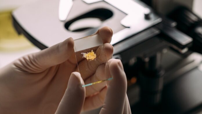 e3e5f6e8-80e5-4631-9300-7b062c728baf