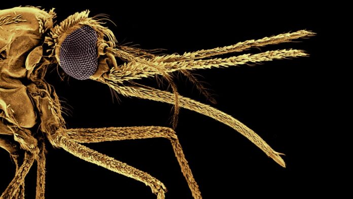 03f0a5dc-79de-4e65-ab60-9f4c7f7fd092