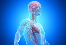 Третина Випадків Деменції Пов’язана із Захворюваннями Поза Мозком