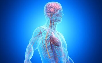 Третина Випадків Деменції Пов’язана із Захворюваннями Поза Мозком