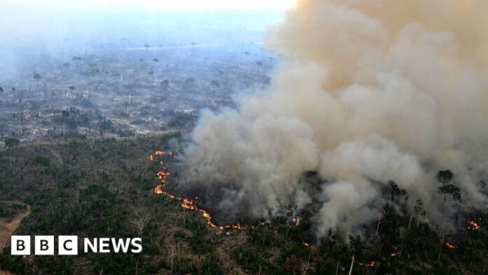 521391ea-7b06-491b-8d5e-5ecf40200c16