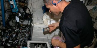 Мікроби видобувають ресурси з метеоритів у космосі: нова ера видобутку корисних копалин