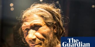 Дослідження свідчать про те, що неандертальці та люди мають різний напрямок парування