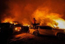 Глобальний збіг пожежонебезпечних сезонів загрожує міжнародній протипожежній допомозі