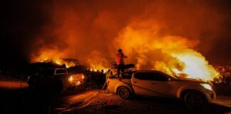 Глобальний збіг пожежонебезпечних сезонів загрожує міжнародній протипожежній допомозі