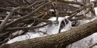 Кліматичні Зміни Прискорюються: Дані Вказують на Швидше Потепління та Екстремальні Погодні Явлення