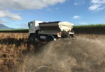 Прискорене Вивітрювання Порід: Масштабоване Рішення для Вилучення Вуглецю з Застереженнями