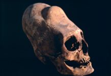 Древние Модификации Тела: 9 Способов, Как Люди Изменяли Себя На Протяжении Времени