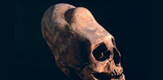 Древние Модификации Тела: 9 Способов, Как Люди Изменяли Себя На Протяжении Времени