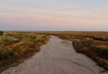 Незалежні вчені опублікували затриману оцінку стану природи США