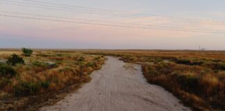 Незалежні вчені опублікували затриману оцінку стану природи США