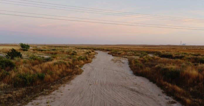 b5333a2f-03fa-4fc0-bd4d-7522c7eb6003