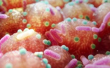 Кишкова Флора та Хвороба Паркінсона: Потенційний Прорив у Лікуванні