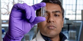 За межами Землі: Екіпаж Artemis II готується побити рекорди з віддалення від планети під час обльоту Місяця