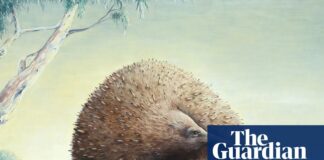 Приховане на увазі: знахідка скам’янілостей доводить, що у Вікторії колись мешкали гігантські єхидні