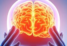 The Neural Fingerprint: How Five Psychedelics Reshape the Brain