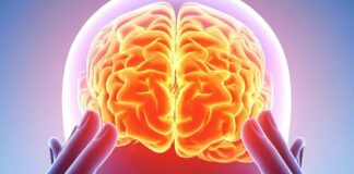 Нейронний відбиток: як п’ять психоделиків змінюють структуру мозку