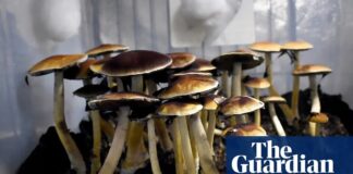 Переломний момент для психоделіків? Указ Трампа відкриває нову еру досліджень і суперечок