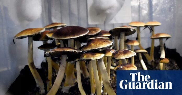 7f303684-294e-4813-9d5d-e587723a5068