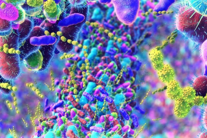 e18ffbff-57dc-415f-b5c1-d7319b75c4b0