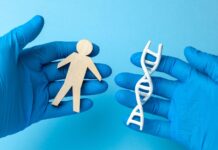 Ancient DNA Rewrites Europe’s Origin Story
