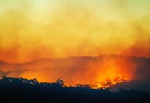 Super El Niño Warning: Rapid Ocean Warming Sets Stage for Extreme 2026-2027