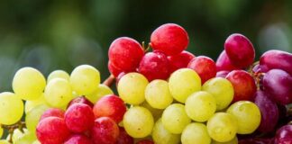 Їжте виноград – шкіра скаже “дякую”. Підтверджено на генетичному рівні
