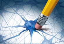 Common Supplement Shows Promise in Preventing Alzheimer’s Protein Clumping
